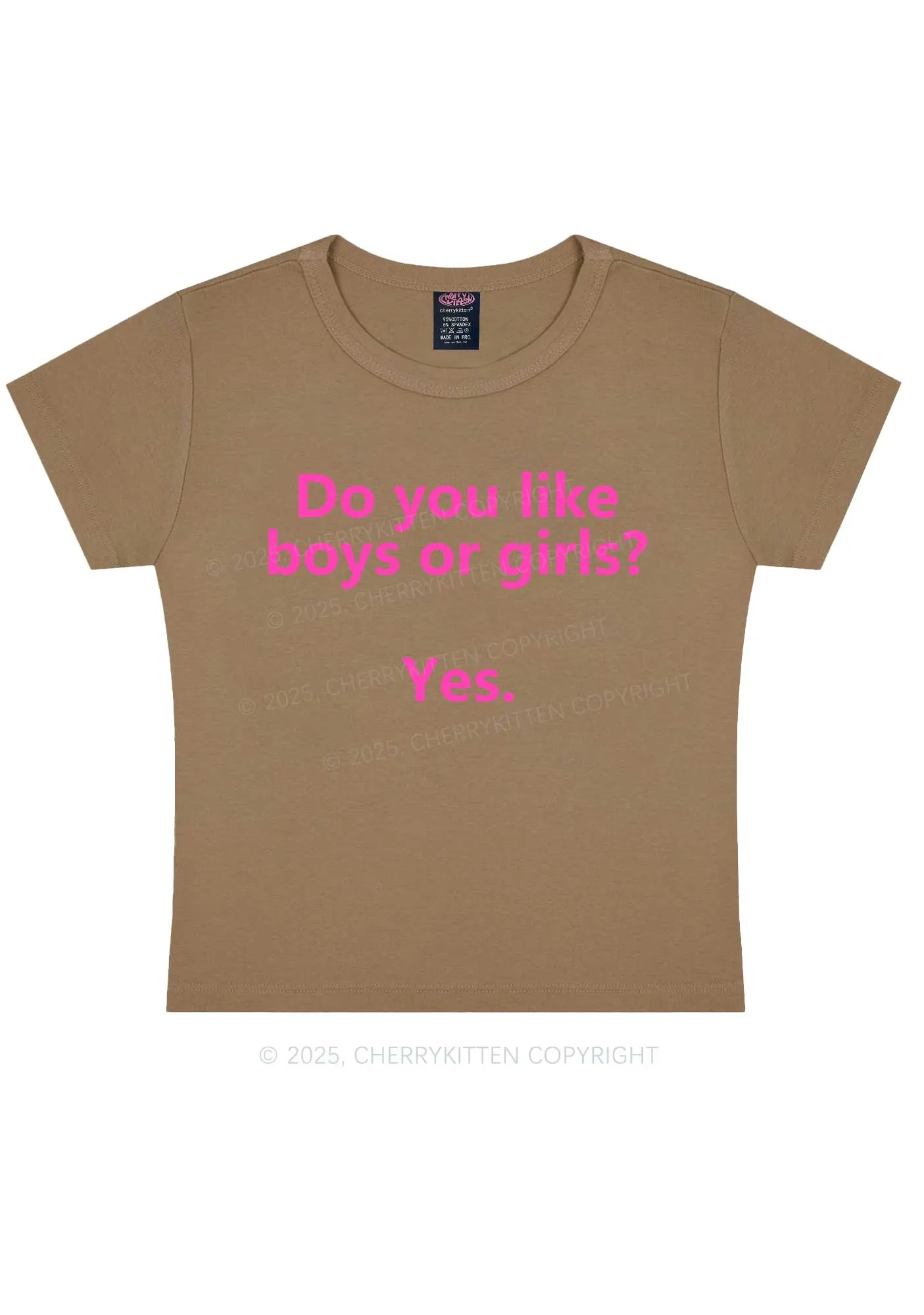 Do You Like Boys Or Girls Pride Y2K Baby Tee Cherrykitten