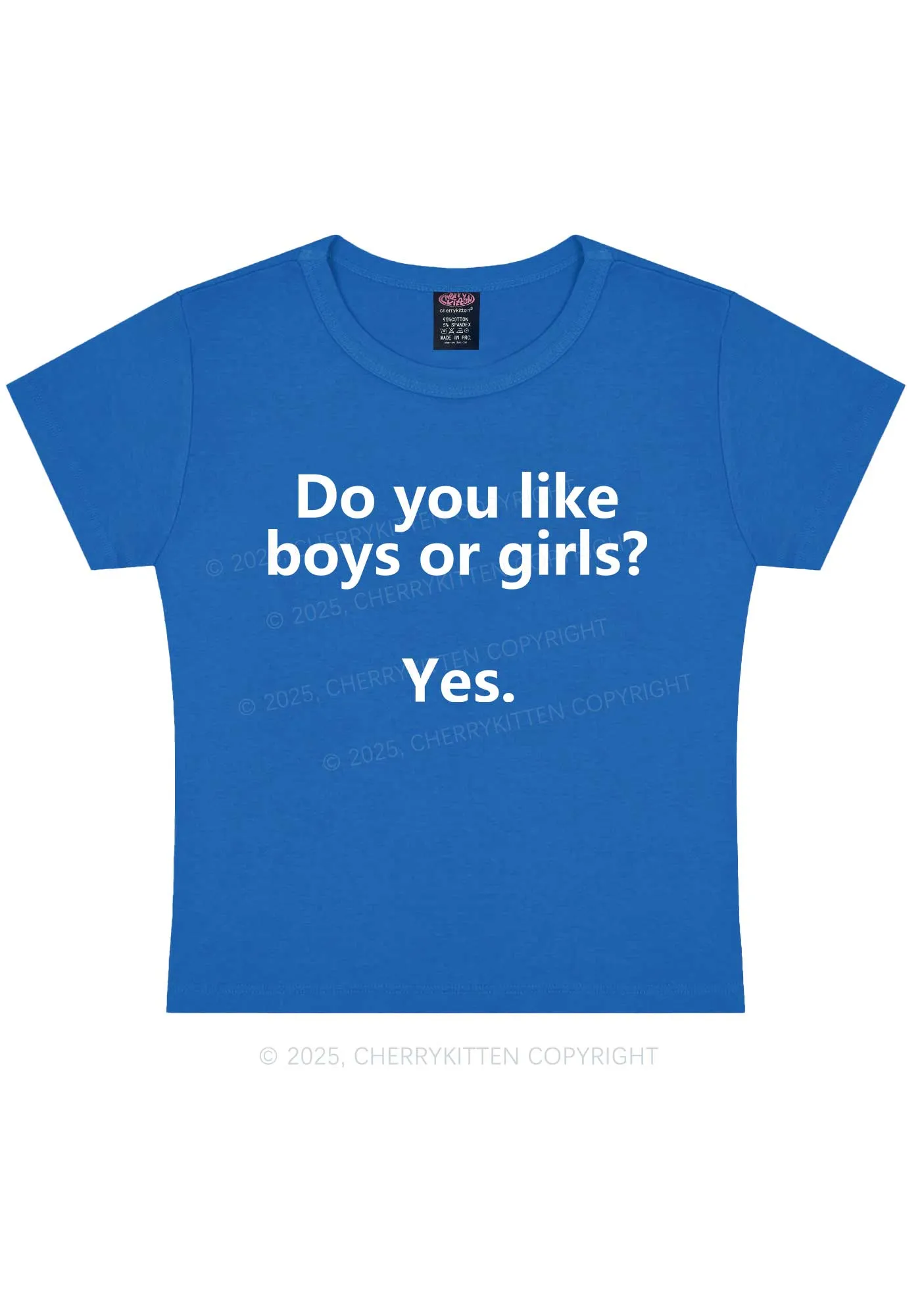 Do You Like Boys Or Girls Pride Y2K Baby Tee Cherrykitten
